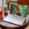 Dell Inspiron 5505